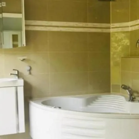 公寓 Ferienwohnung Camila 弗赖堡